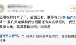 明星补税爆料事件真相视频,真相视频曝光背后的故事