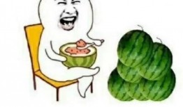 娱乐圈的瓜可以吃,揭秘明星幕后故事