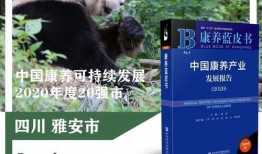 《20》在线观看,揭秘时代变迁下的青春故事