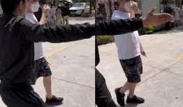 辛巴爆料散打视频,散打高手背后的故事