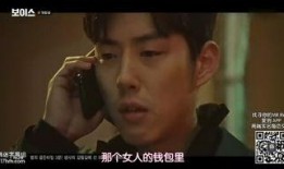 the voice韩剧在线观看,音乐选秀的激情与梦想之旅