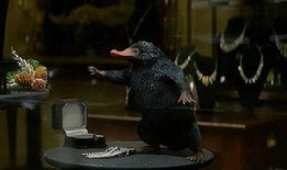 神奇动物3爆料攻略视频,攻略视频深度解析