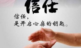 信任 在线观看,探索虚拟世界的真实连接