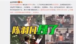 刘文玺事件国外爆料视频,国外爆料视频揭露惊人内幕