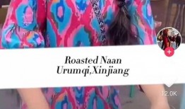 新疆爆料博主事件视频大全,揭秘背后真相与争议