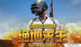 爆料吃鸡衣服的视频下载,爆款视频幕后下载攻略