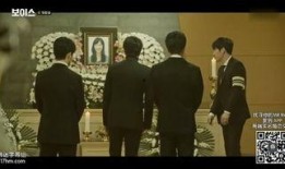 the voice韩剧在线观看,音乐选秀的激情与梦想之旅