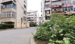 黄桥河滨小区爆料视频曝光,揭秘小区真实面貌