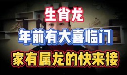 广州白云区今日头条爆料,今日头条最新爆料揭示惊人真相