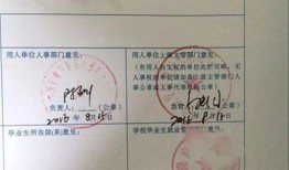 盖章 在线观看,在线观看带你领略盖章文化魅力