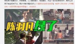 爆料大王刘一刀视频全集,视频全集深度解析，揭秘爆料大王背后的故事