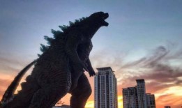 荒野皮肤爆料最新版,最新版神秘皮肤大揭秘！