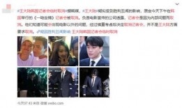 韩国记者金永浩爆料视频,韩国记者爆料视频内容概述