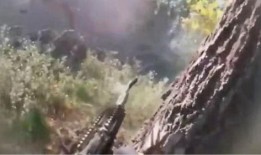 最近俄国爆料视频完整版,完整版内容深度解析