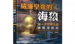 德国爆料海狼事件视频,揭秘神秘潜艇秘密行动