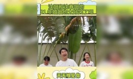 今日爆料视频八卦娱乐,八卦娱乐热点大揭秘！