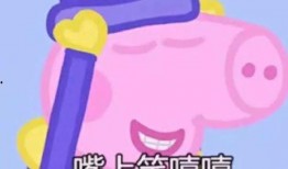 佩琪学员爆料是真的吗视频,佩琪学员爆料视频真实性揭秘