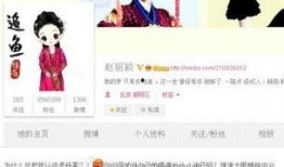 爆料娱乐圈粉丝有多少人,揭秘庞大粉丝群体的生活现状与心理状态