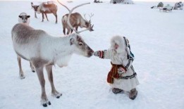 网红驯鹿吃瓜视频大全