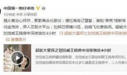 作假爆料视频大全集,作假爆料视频大全集深度解析