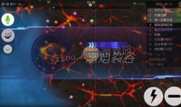 星际和平公司爆料视频,星际和平背后的真相与挑战