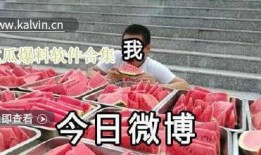 各种吃瓜爆料视频下载,吃瓜爆料视频背后的精彩故事