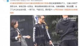 狗仔爆料汪峰视频大全,汪峰视频大全幕后故事