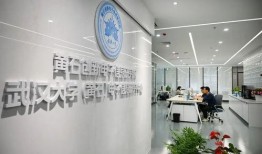 黄石电子厂爆料事件视频,揭秘工厂内部惊人真相