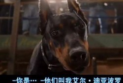 比佛利拜金狗在线观看,奢华生活背后的财富追逐