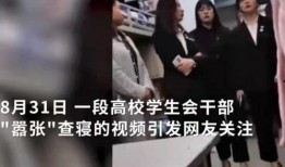股民爆料奶茶事件视频,一场意外的舆论风暴